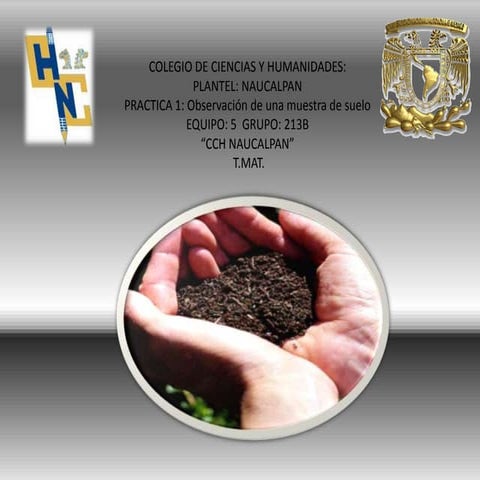 PRACTICA 1: Observación de una muestra de suelo