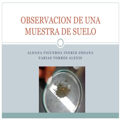 Practica 1 Observacion de una muestra de suelo 