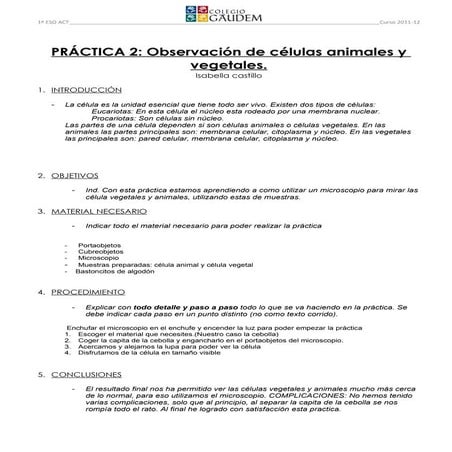 Practica 2. Observación de células animales y vegetales