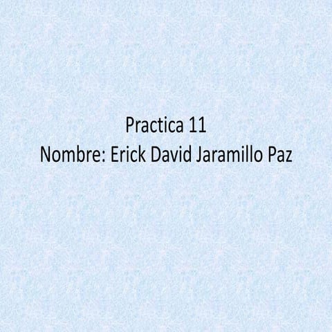 Practica 11