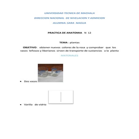 Practica 12 | DOCX