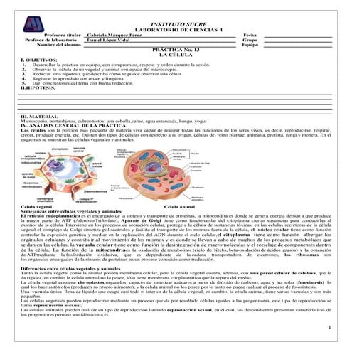 Practica 13ciencias i