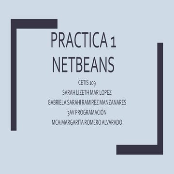 Practica 2 de netbeans | PPTX