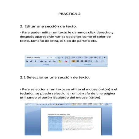 Practica 2 | DOCX