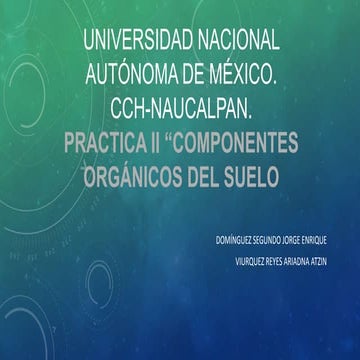 Practica 2 componentes del suelo 