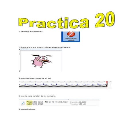 Practica macromedia flash 8 | DOCX