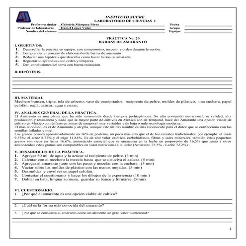 Practica 19 ciencias i | DOCX