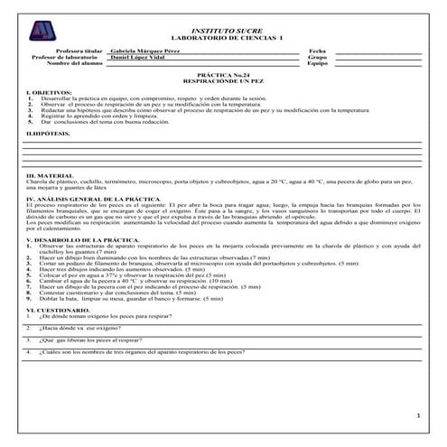 Practica 24 ciencias i | DOCX