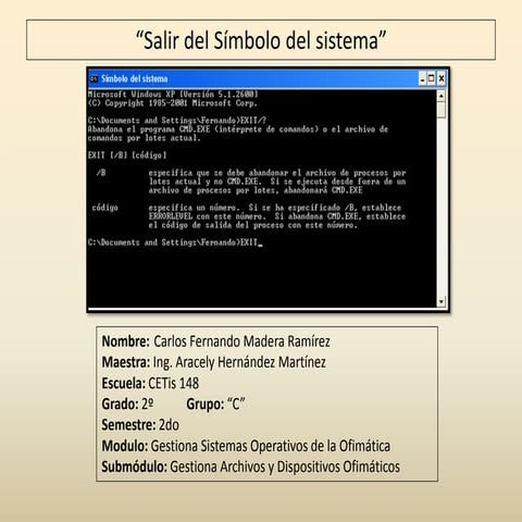 Uso del comando EXIT (Practica 31) | PPTX