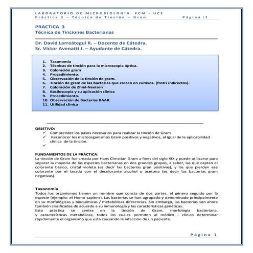 Practica 3 tinciones bacterianas