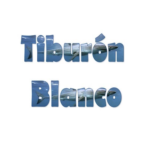 Tiburon Blanco