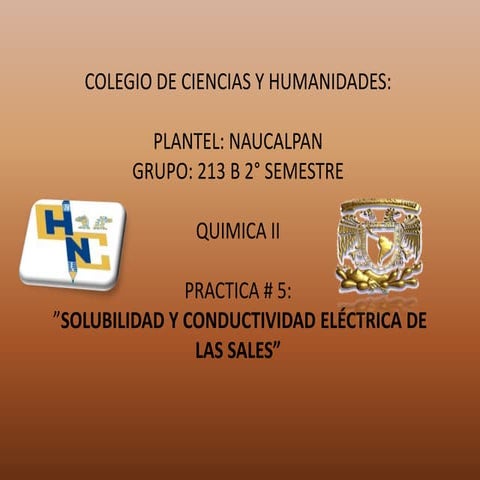 Practica 5: SOLUBILIDAD Y CONDUCTIVIDAD ELÉCTRICA DE LAS SALES