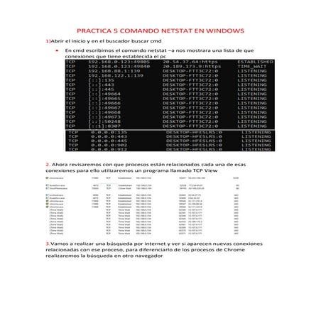 Practica 5 comando netstat en windows | PDF