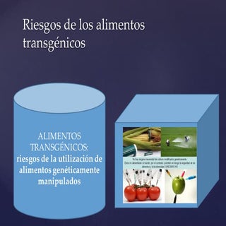 Practica 7 alimentos transgenicos.