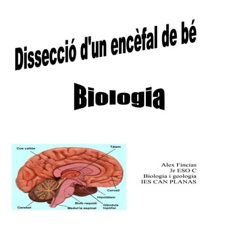 Practica 8 | DOC