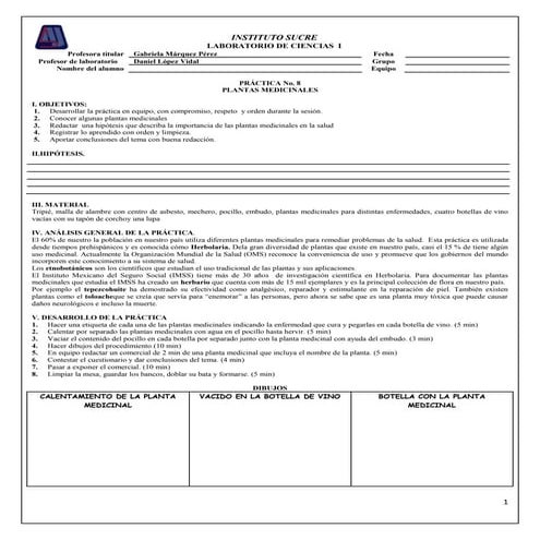 Practica 8 ciencias i | DOCX
