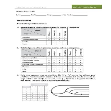 Practica cladogramas alumnos