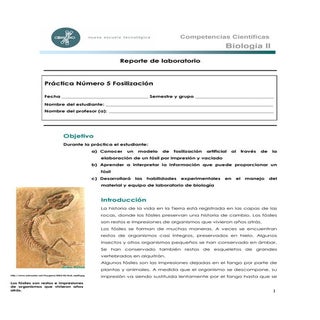 Practica de laboratorio