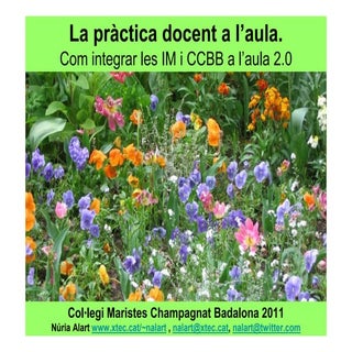 Practica docent competencial