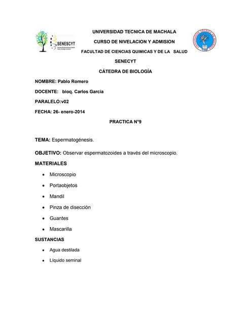 Practica Observación De Espermatozoides