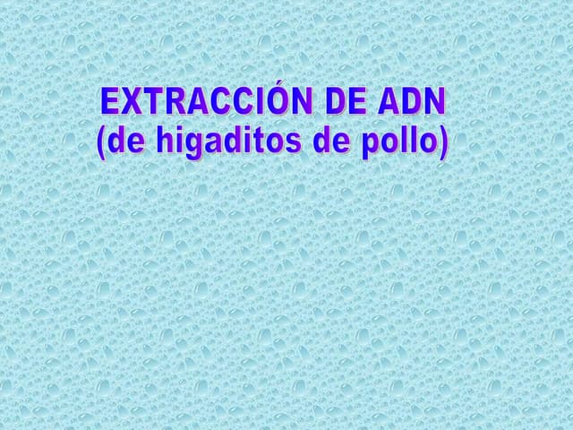 Practica Extraccion Adn
