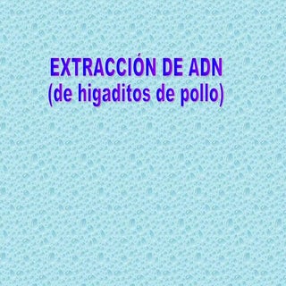 Practica Extraccion Adn