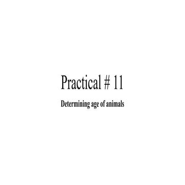 Determining the Age of Animals Using Dental Characteristics and ...