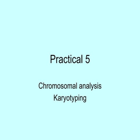 Practical 5 07 | PPT