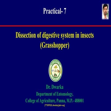 Comprehensive Dissection and Digestive System Analysis of Grasshopper ...