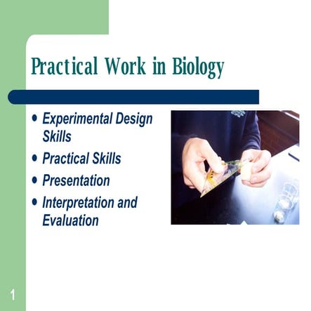 Practical Work In Biology