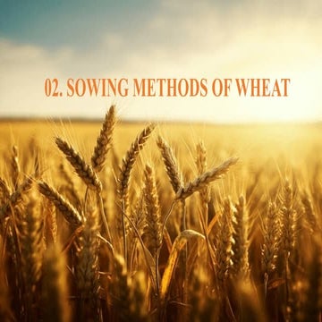 Different sowing methods of wheat in various zones | PPTX