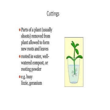 Cutting propagation
