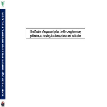 Identification of rouges and pollen shedders | PPTX