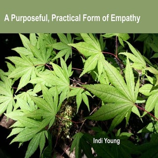 Practical Empathy