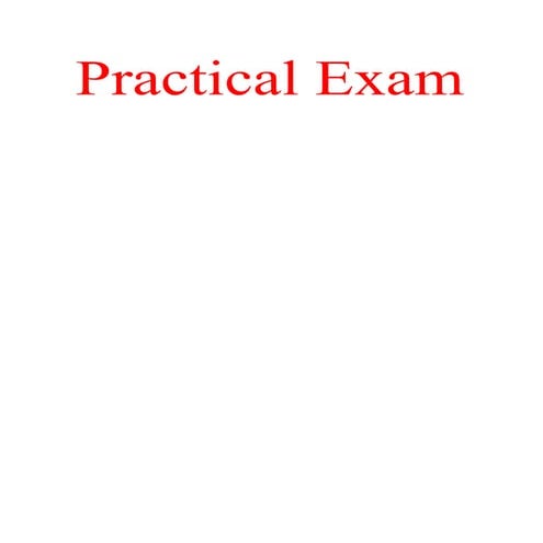 Practical exam | PDF