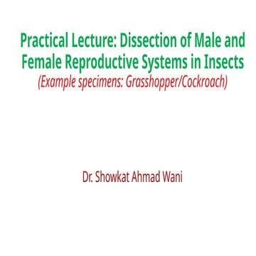 Practical Lecture Dissection of Male and Female Reproductive system in ...