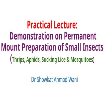 Practical lecture Permanent mount preparation of thrips, aphids, sucking lice...