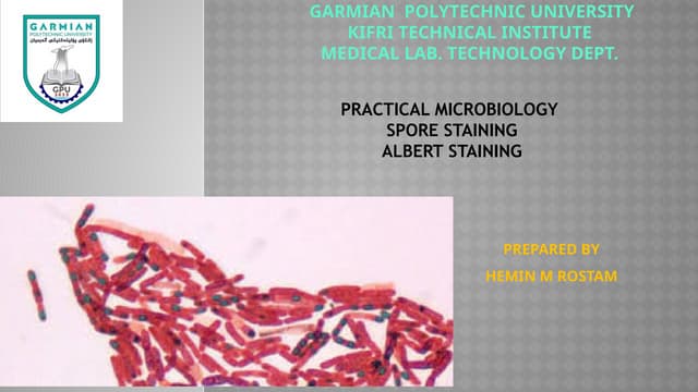practical micro Lab5 presentation  .pptx
