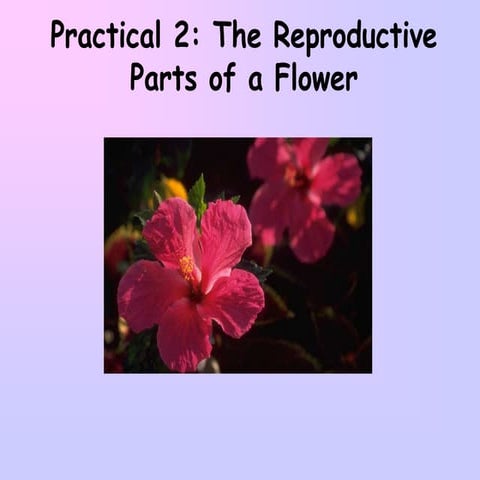 Parts of the flower | PPT