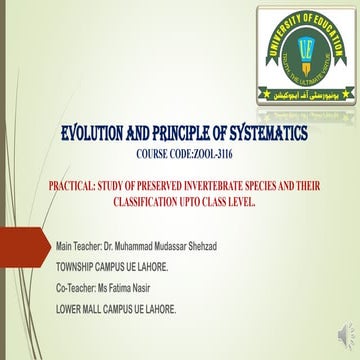 Practical study of preserved invertebrate species and their practical ...