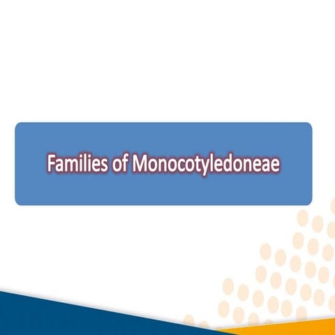 Practical flowering plant taxonomy all families