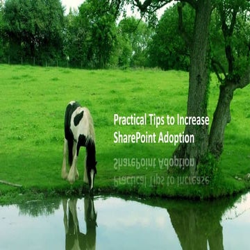 Practical Tips to Increase SharePoint Adoption 