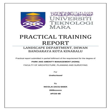 Practical training report