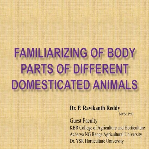 Practical Unit 1 Familiarization of body parts of different domestic animals ...