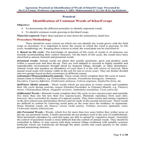 Practical on Weed Identification of Kharif Crops by Dr.G.S.Tomar