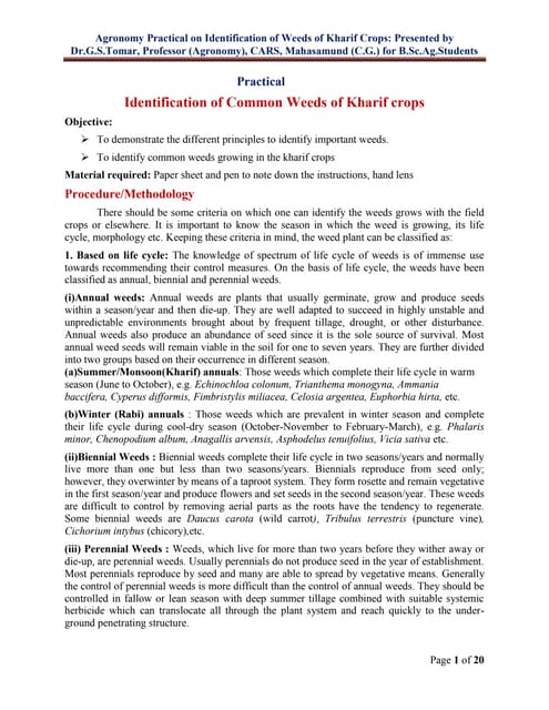 Practical on Weed Identification of Kharif Crops by Dr.G.S.Tomar