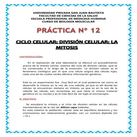 PRACTICA N°12:CICLO CELULAR: DIVISIÓN CELULAR: LA MITOSIS