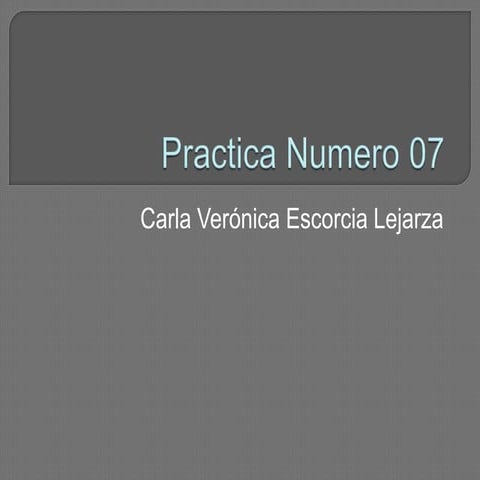 Practica numero 07
