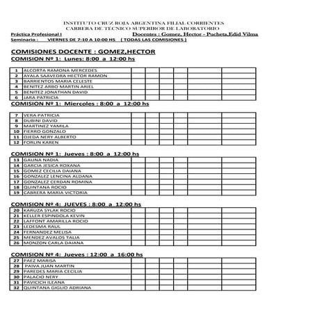 Practica profesional I