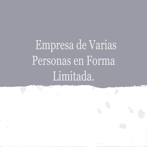 empresas de varias personas en forma limitada 